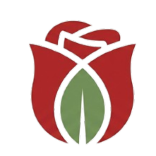 BouquetbyUmi
